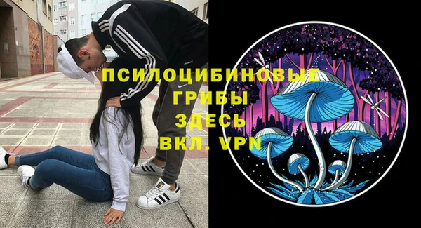 хмурый Сосновоборск