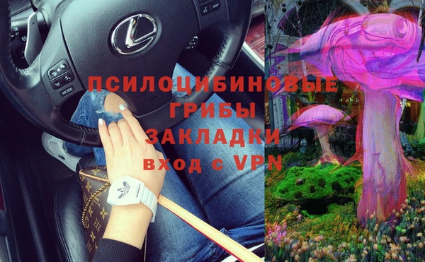 хмурый Сосновоборск