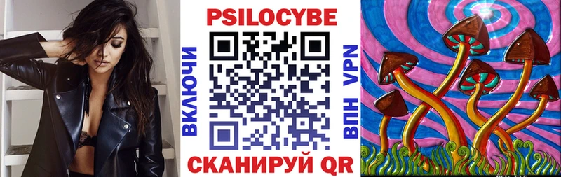 Купить где  Пересвет  Псилоцибиновые грибы Psilocybine cubensis 
